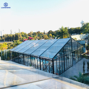 Tenda luxuosa para festa de casamento, moldura preta em pvc transparente, cor espinha de peixe curvada, estrutura de aço de alumínio opcional, tenda para eventos